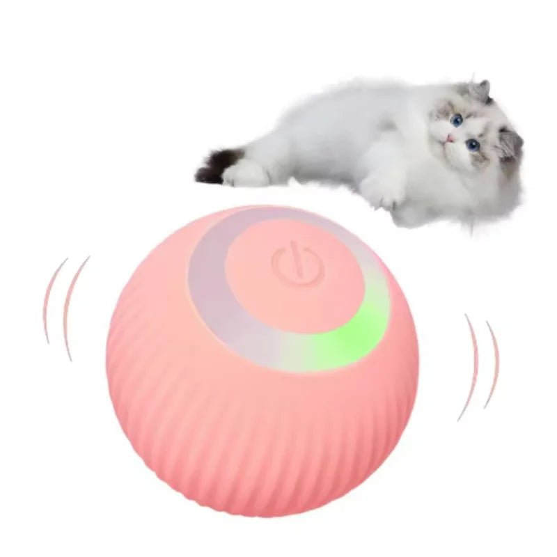 Der Smarte Roller - Interaktiv Edition