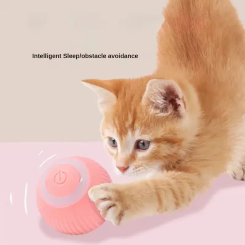 Der Smarte Roller - Interaktiv Edition