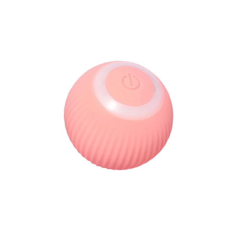Der Smarte Roller - Interaktiv Edition