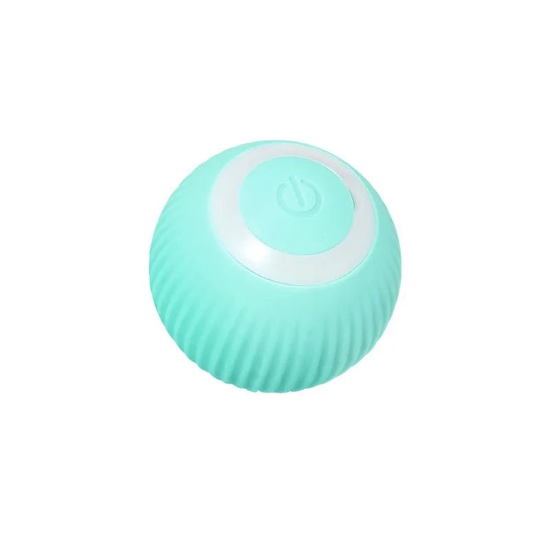 Der Smarte Roller - Interaktiv Edition